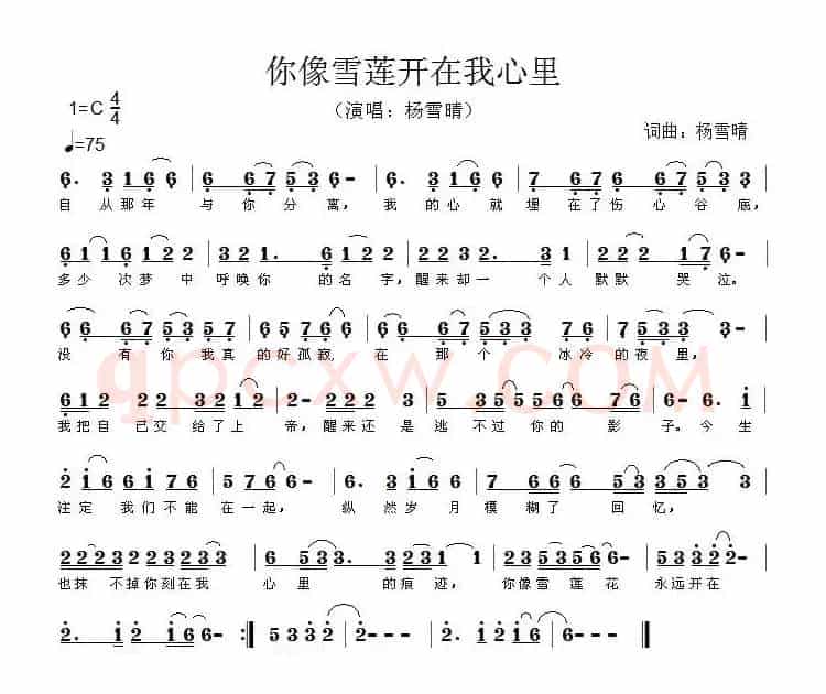 你像雪莲开在我心里