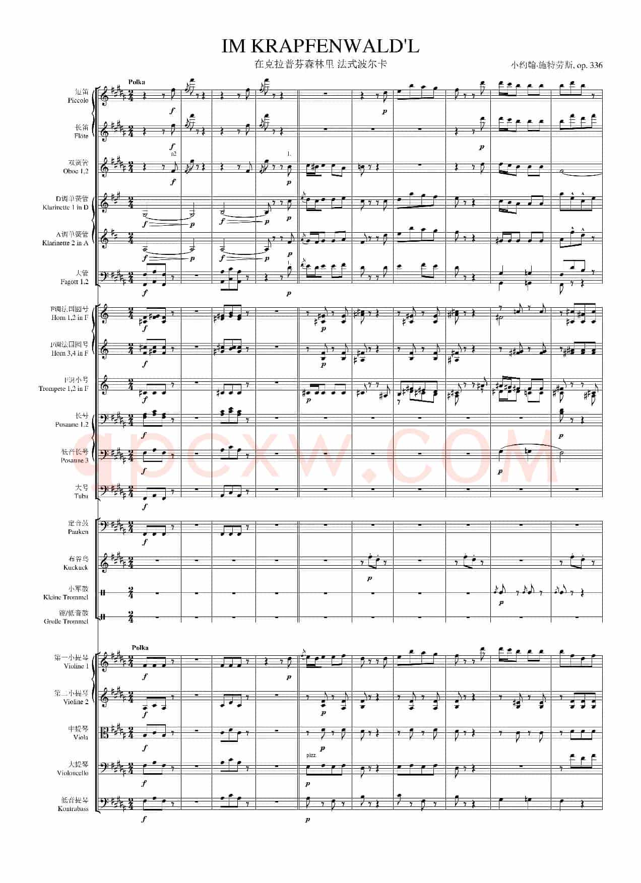 Im Krapfenwald'l Polka Française op. 336