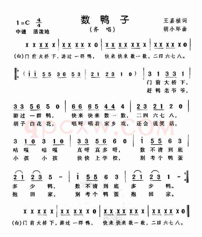数鸭子