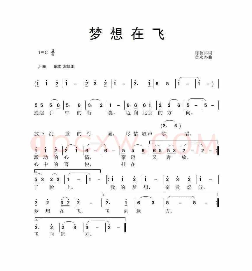 梦想在飞