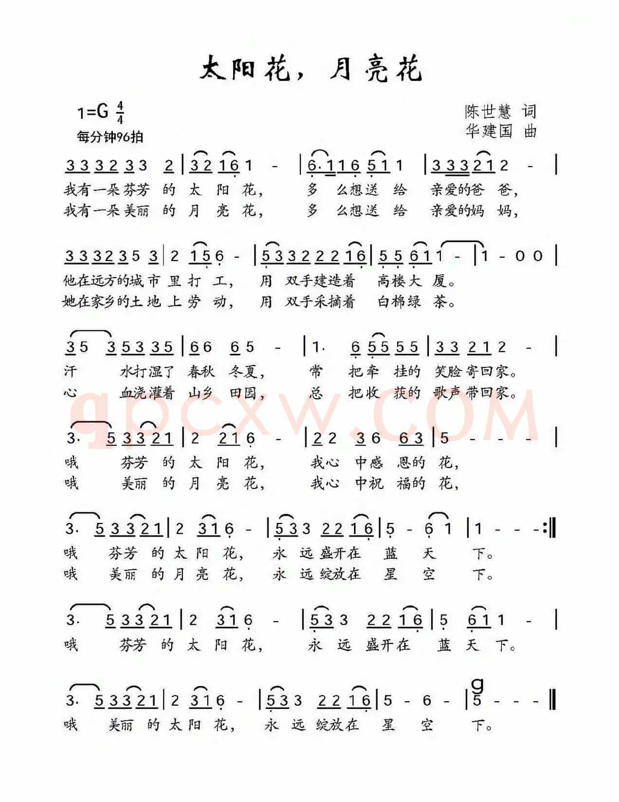 太阳花，月亮花