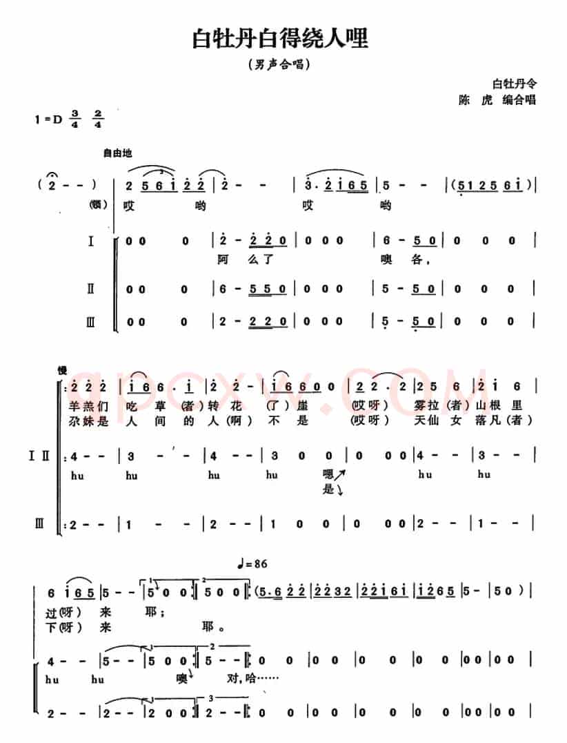 白牡丹白得绕人哩（简谱）