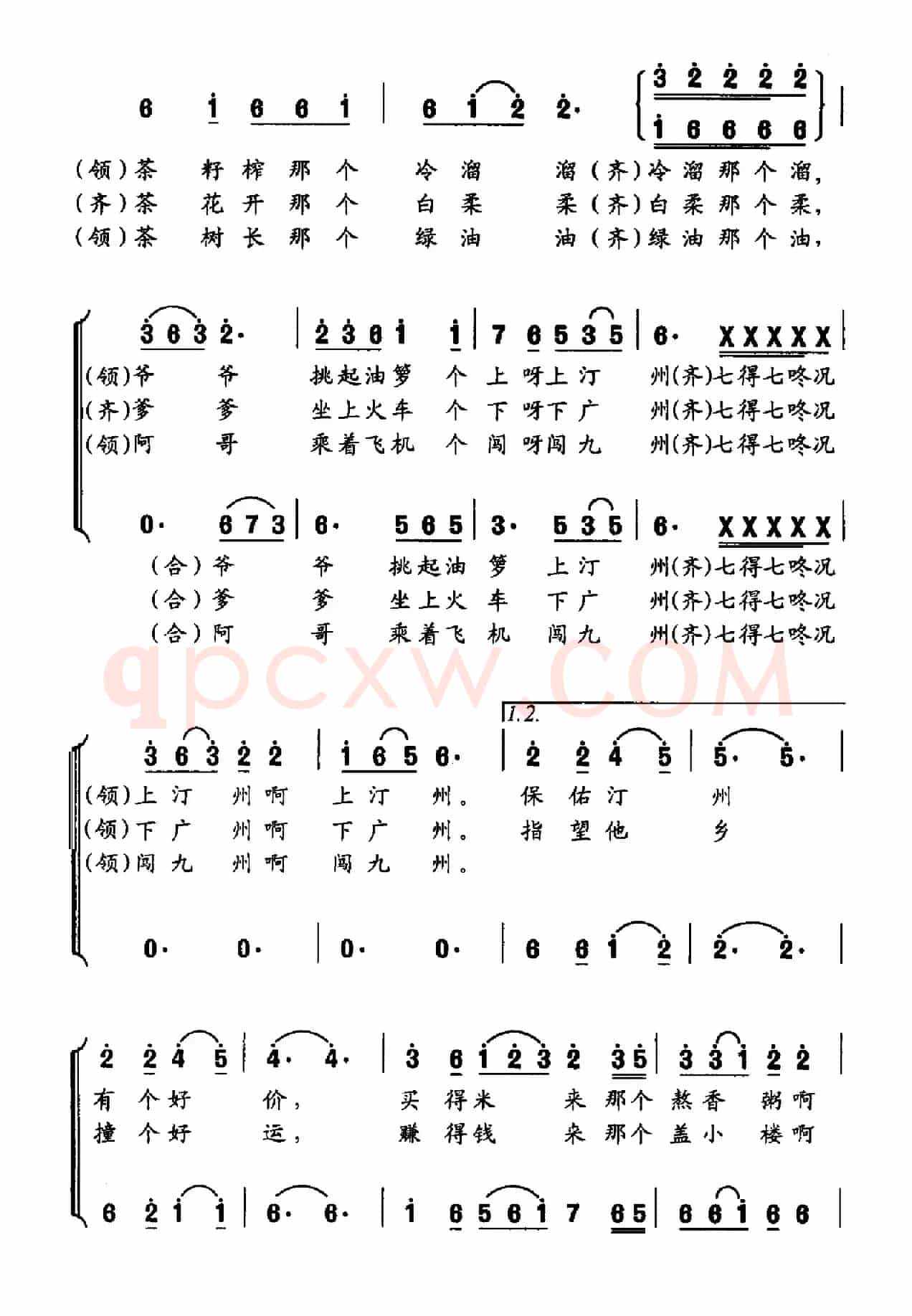 榨茶籽新歌
