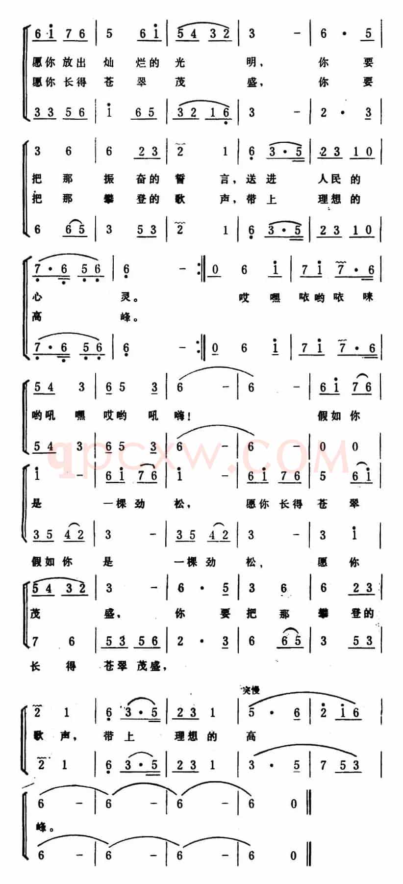 人到中年还算年轻 （男女声二重唱）