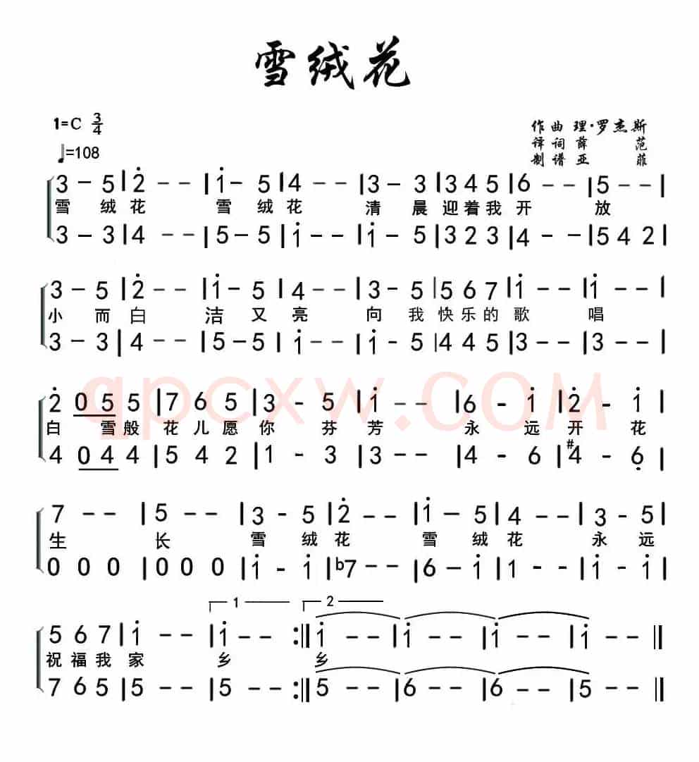 雪绒花