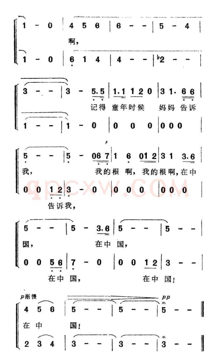 我的根啊，在中国