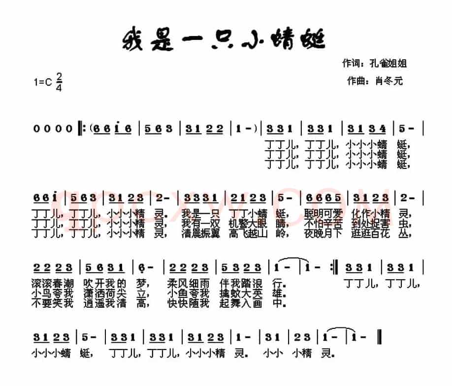 我是一只小蜻蜓