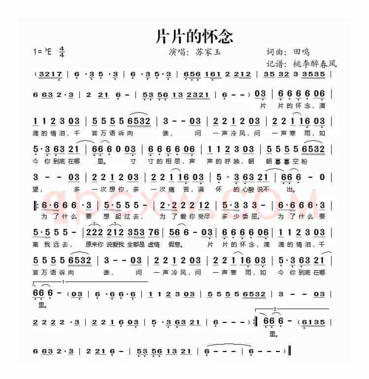 片片的怀念
