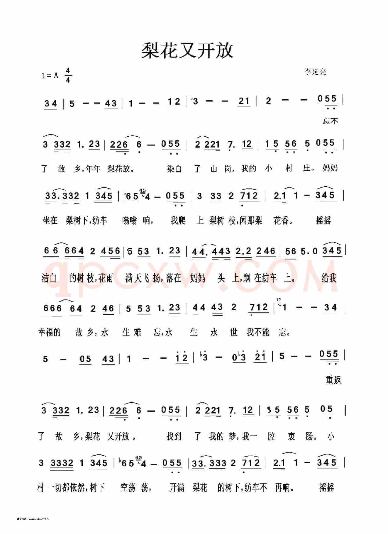梨花又开放