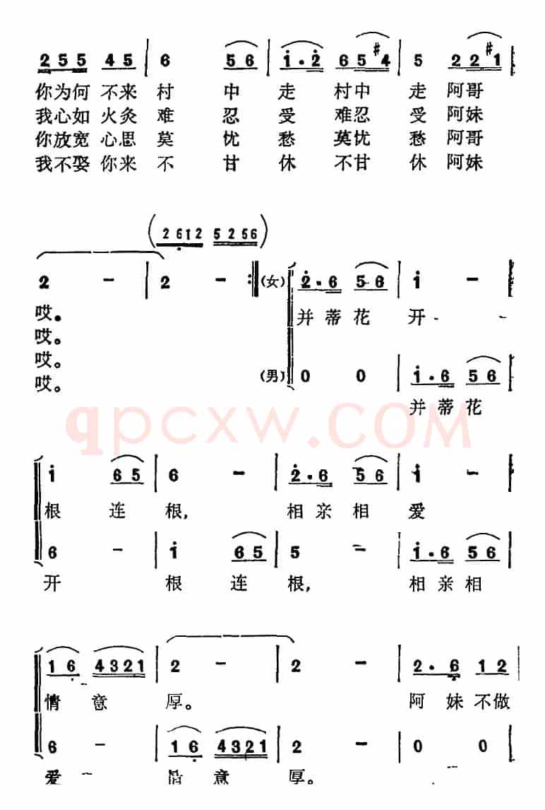 藤缠树来树缠藤 （张玉柱词 奉孝伦 曲）