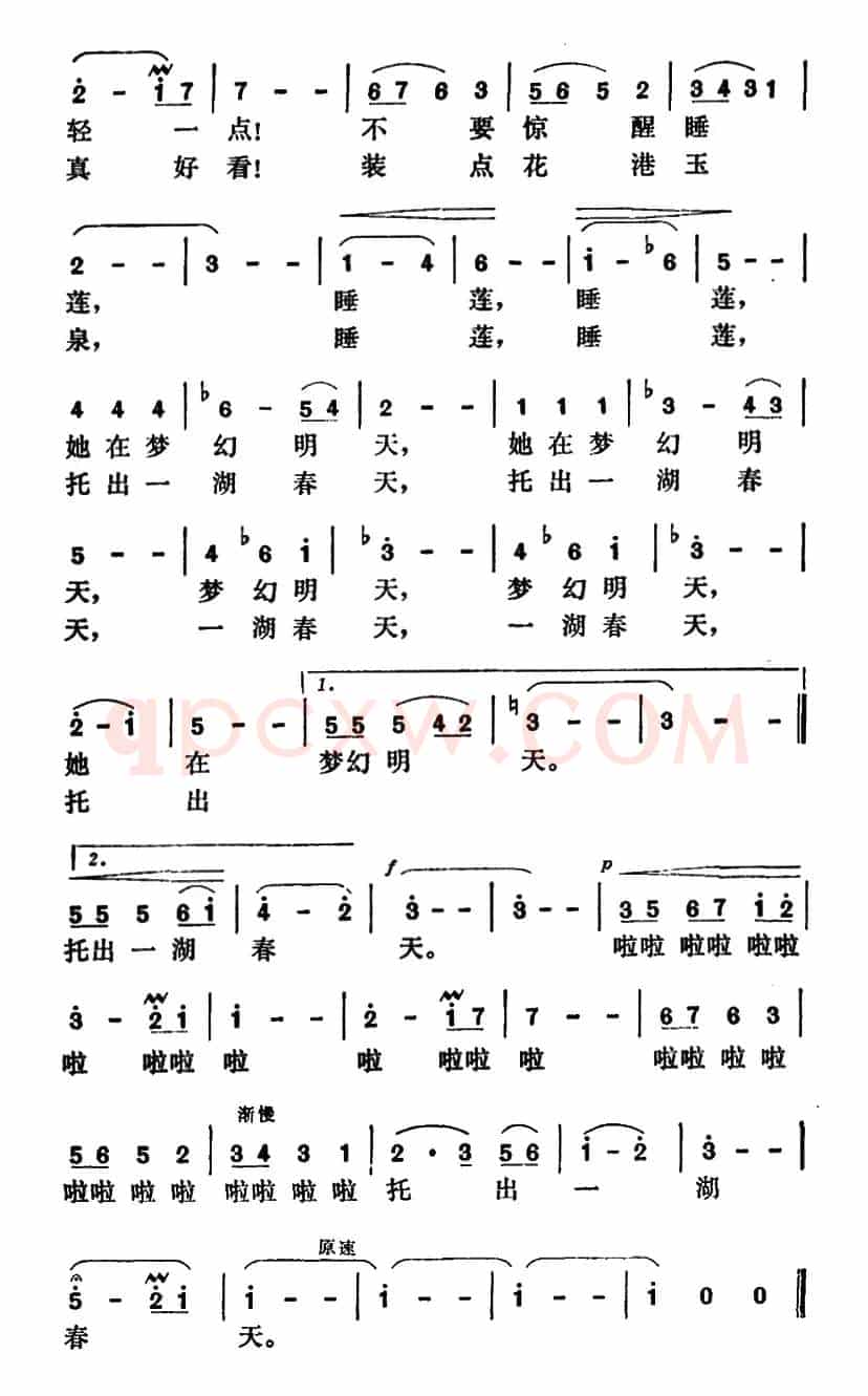 睡莲曲