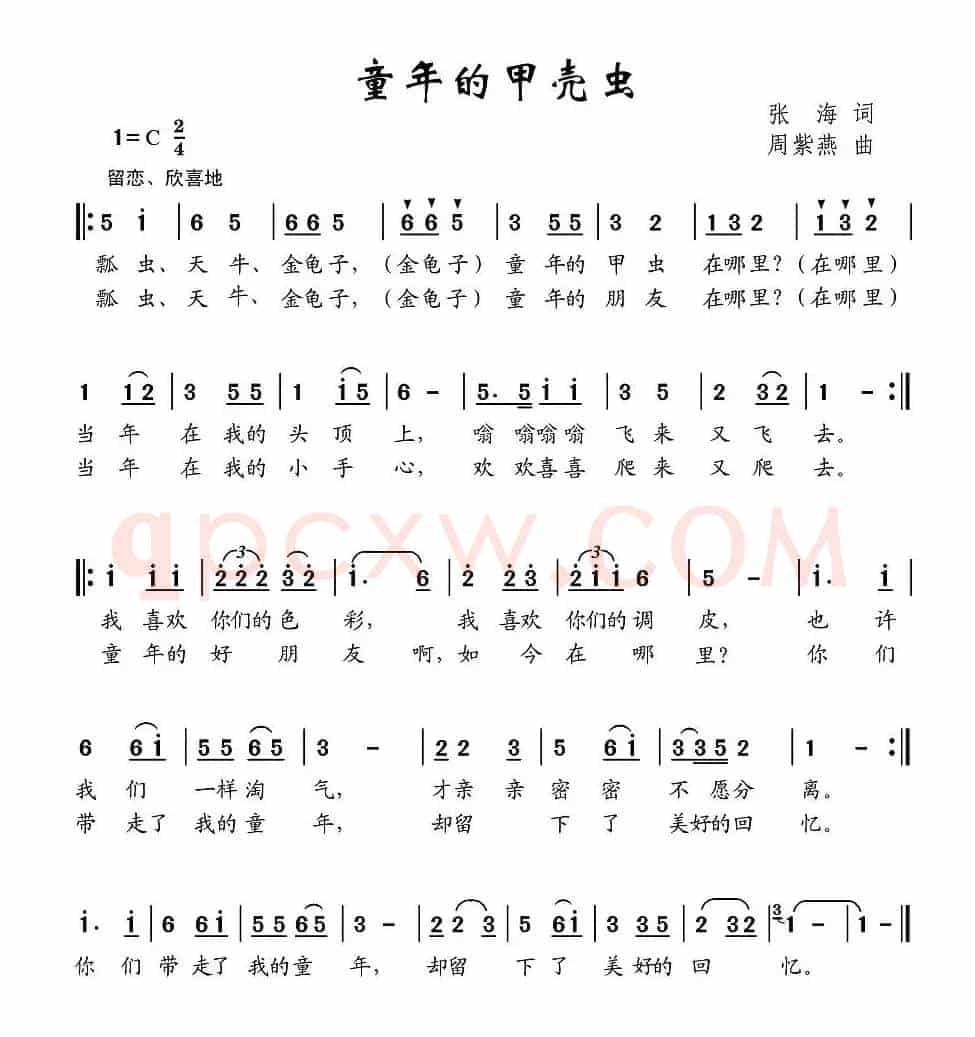 童年的甲壳虫