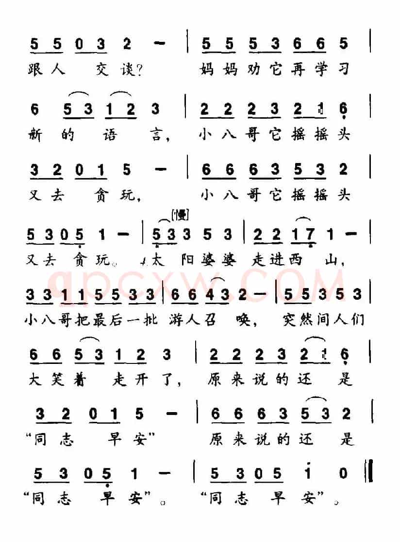 小八哥的学问