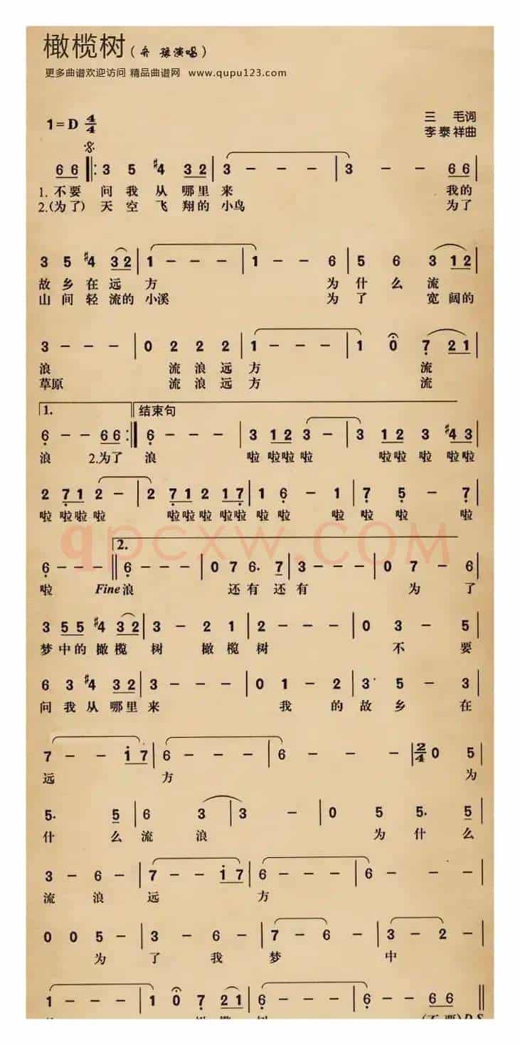 橄榄树