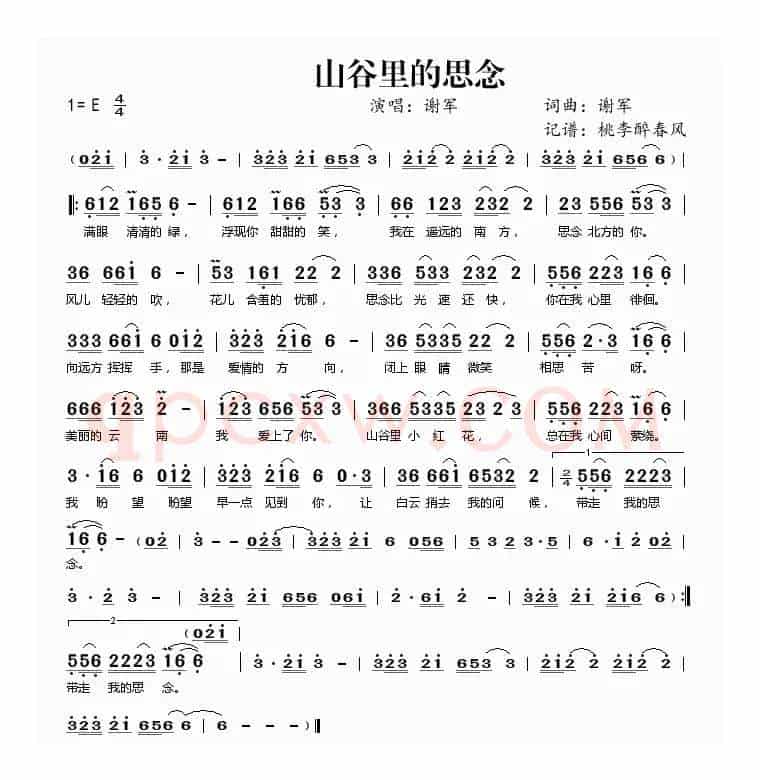 山谷里的思念