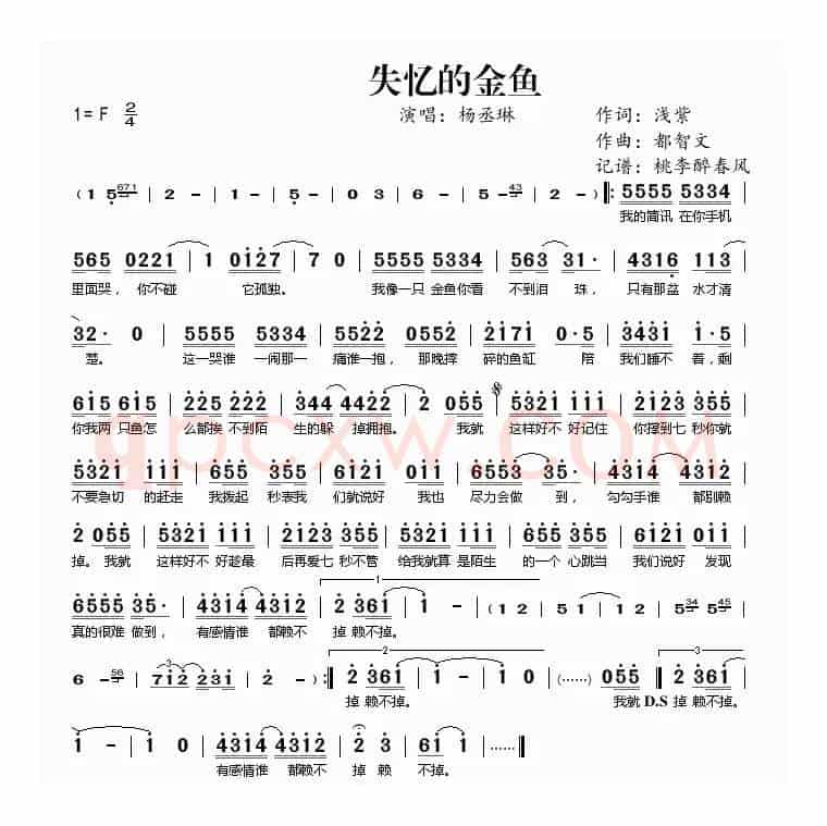 失忆的金鱼