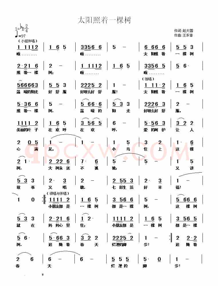 太阳照着一棵树