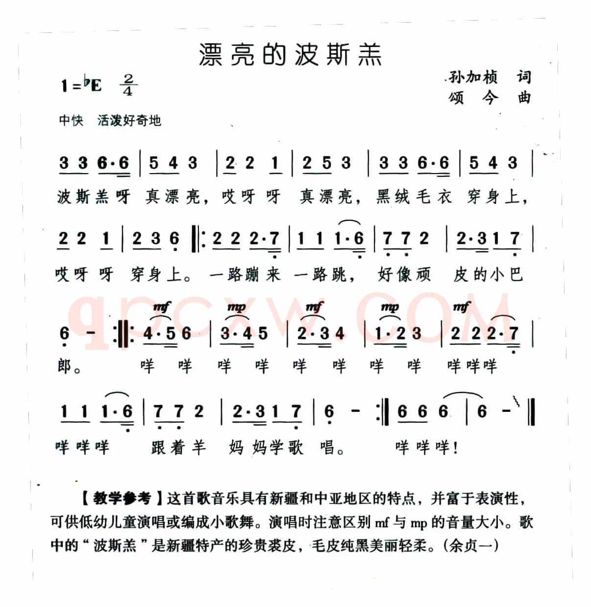 漂亮的波斯羔