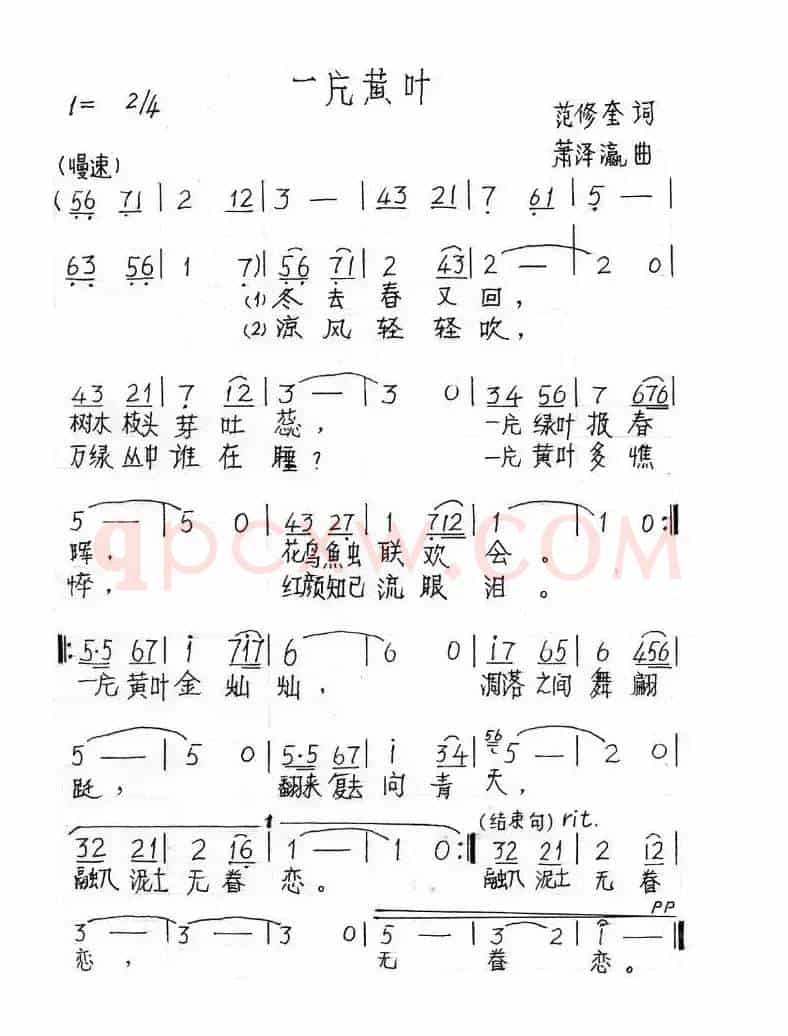 一片黄叶