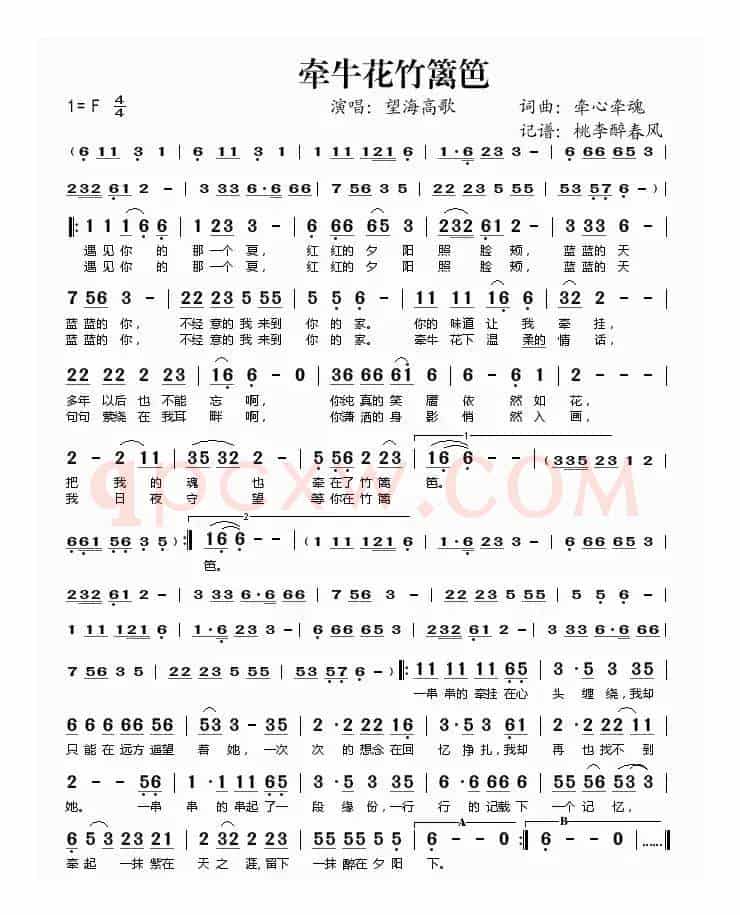 牵牛花竹篱笆