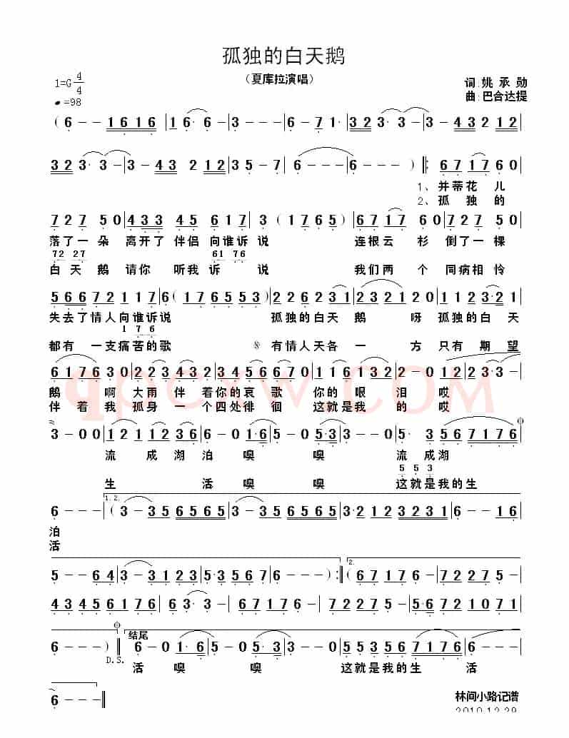 孤独的白天鹅