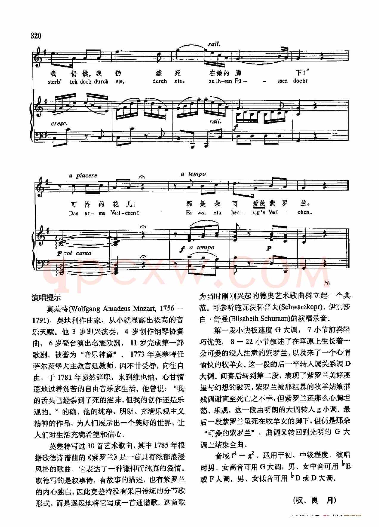 声乐教学曲库3-[奥]66紫罗兰（正谱） 