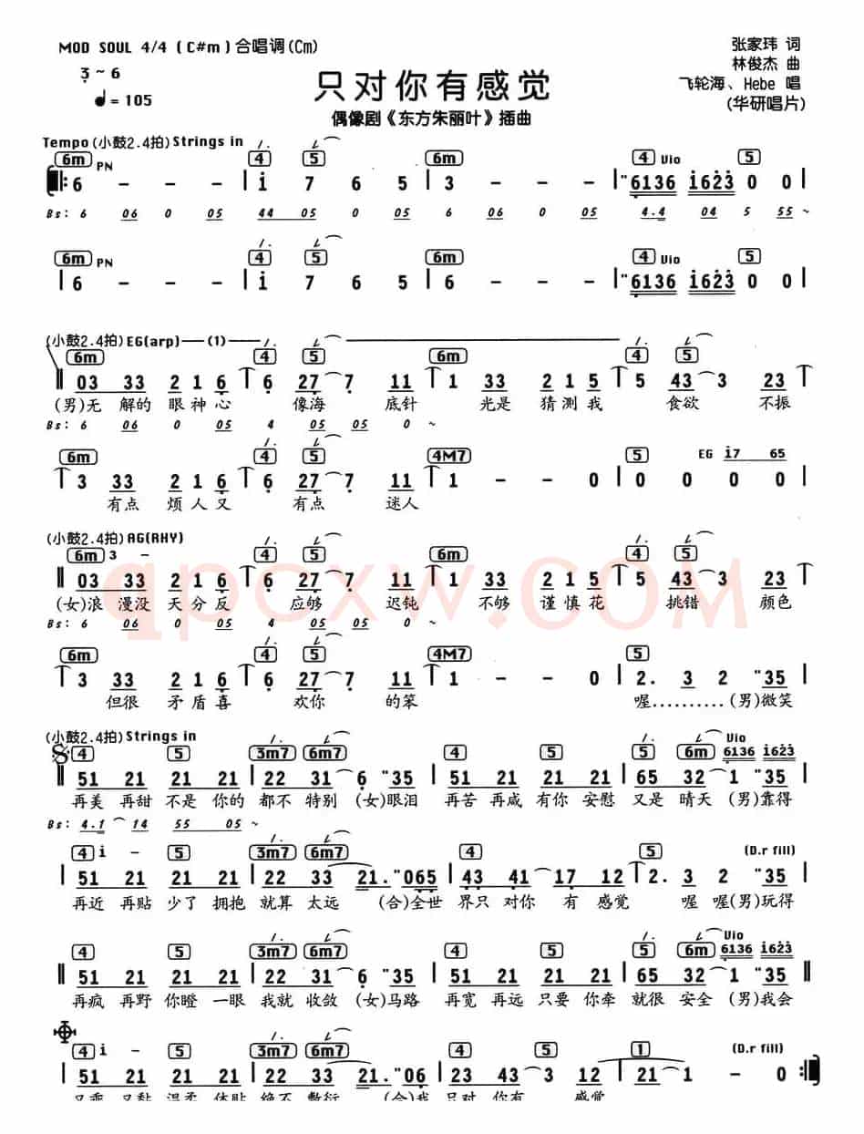 只对你有感觉（电视剧《东方朱丽叶》插曲、编配乐谱）