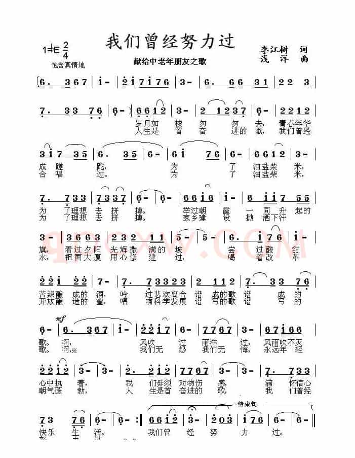 雨中的伞
