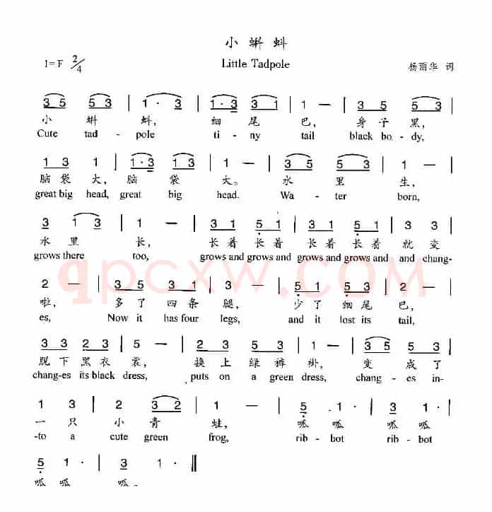 小蝌蚪（杨丽华词曲）