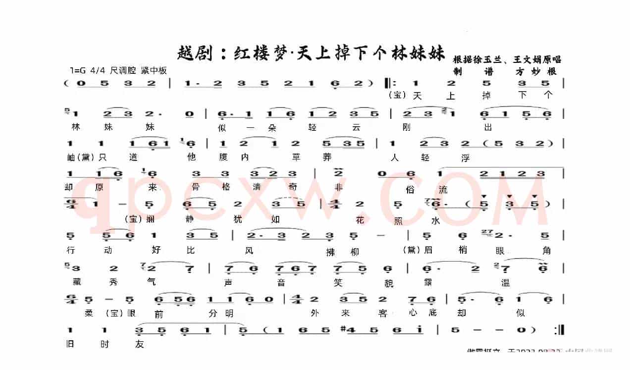 越剧：红楼梦&天上掉下个林妹妹