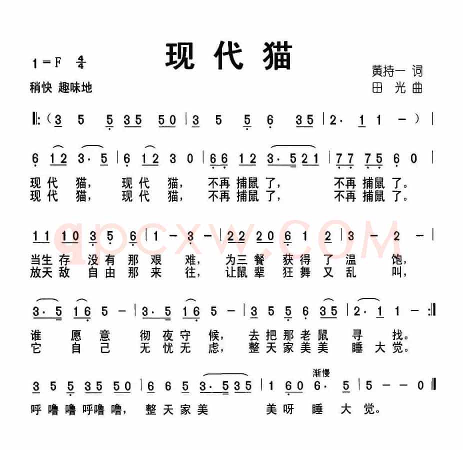 现代猫