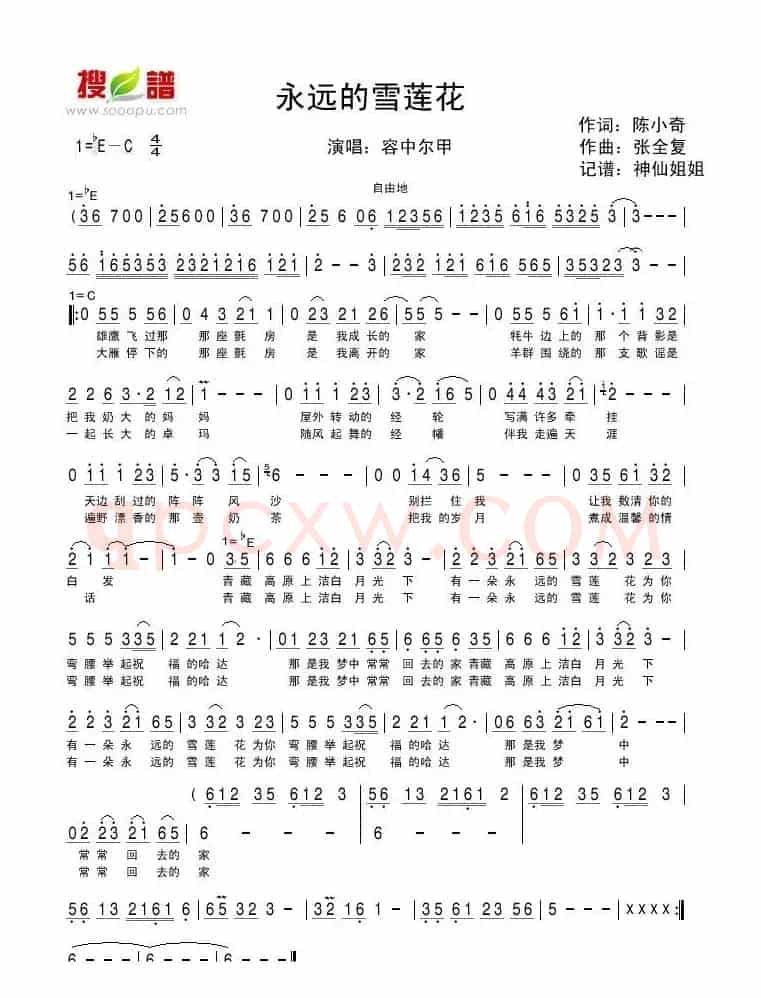 永远的雪莲花