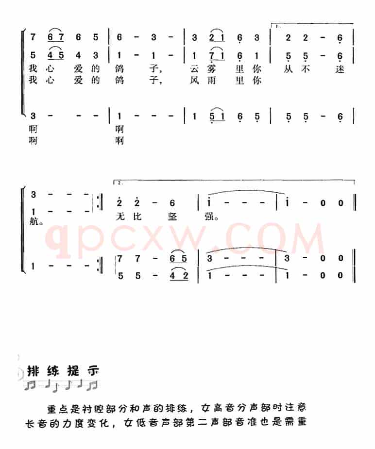 飞吧，鸽子（洪源词 王立平曲 冯晓阳编合唱）