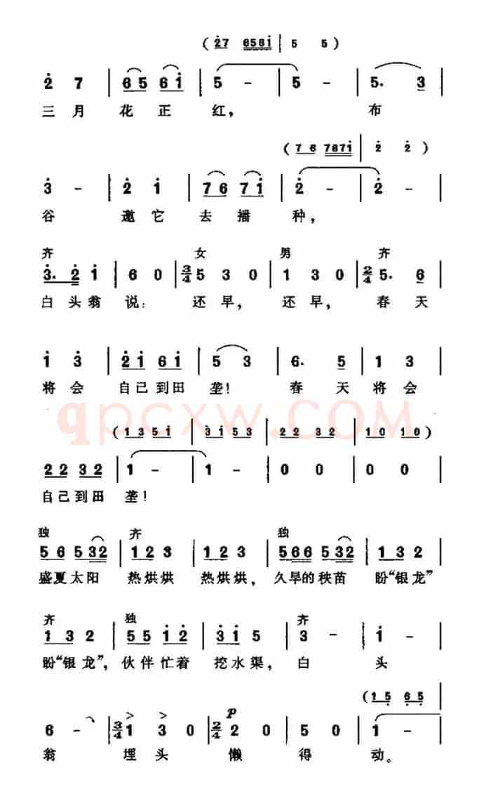 白头翁（合唱）