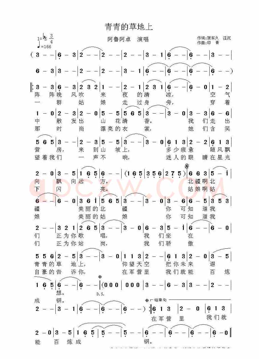 青青的草地上