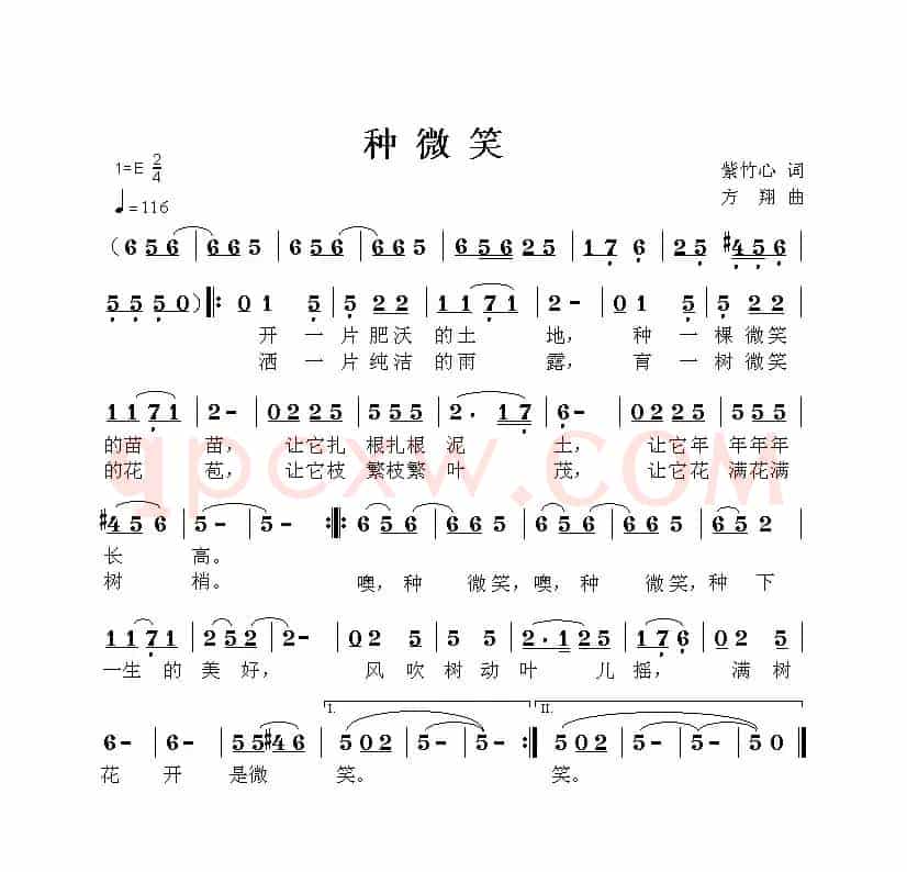 种微笑