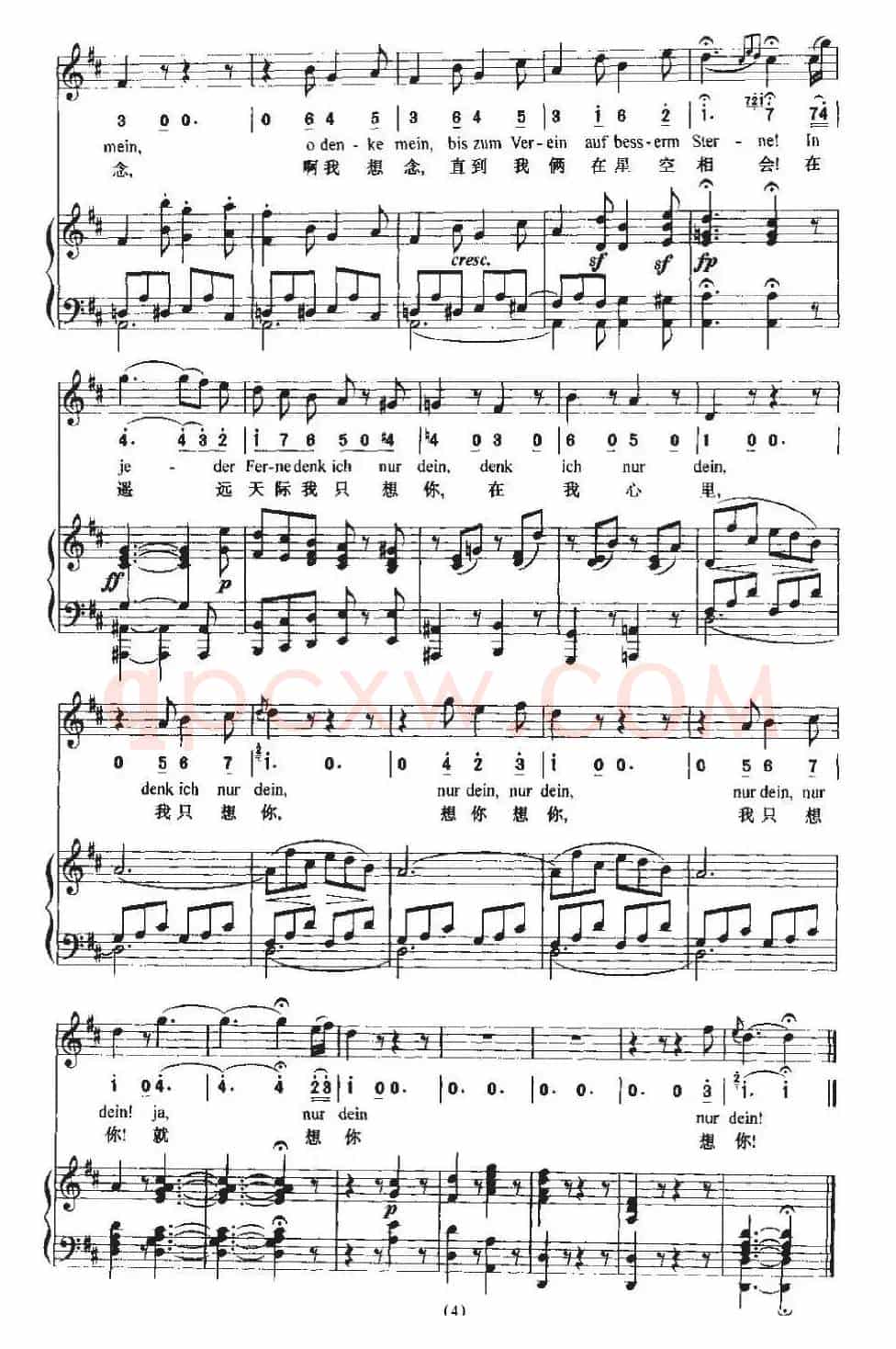 Andenken（思念 [中外文对照、正谱]）