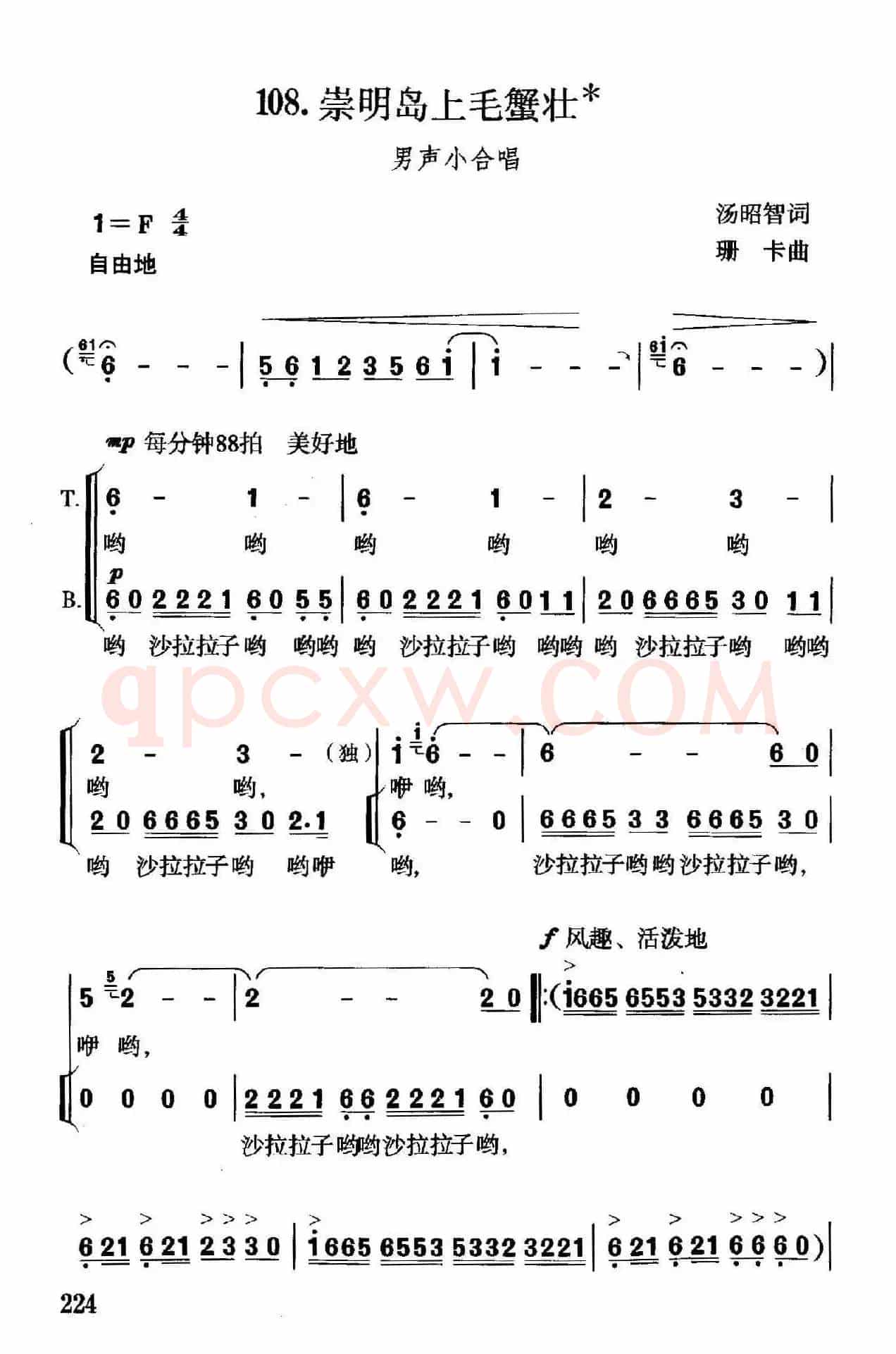 崇明岛上毛蟹壮