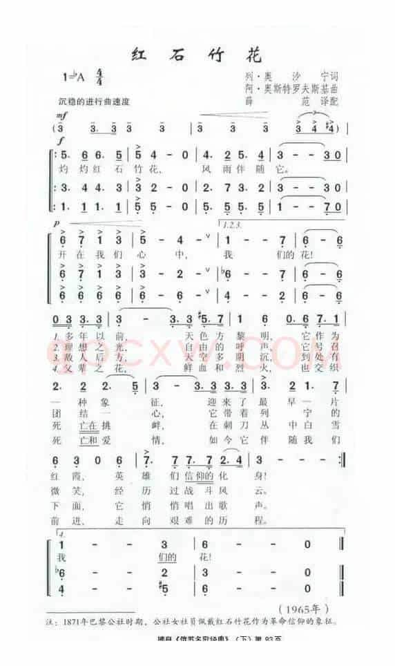 红石竹花（前苏联）