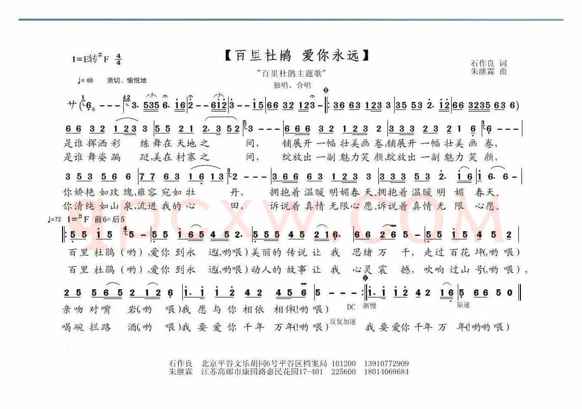 百里杜鹃 爱你永远