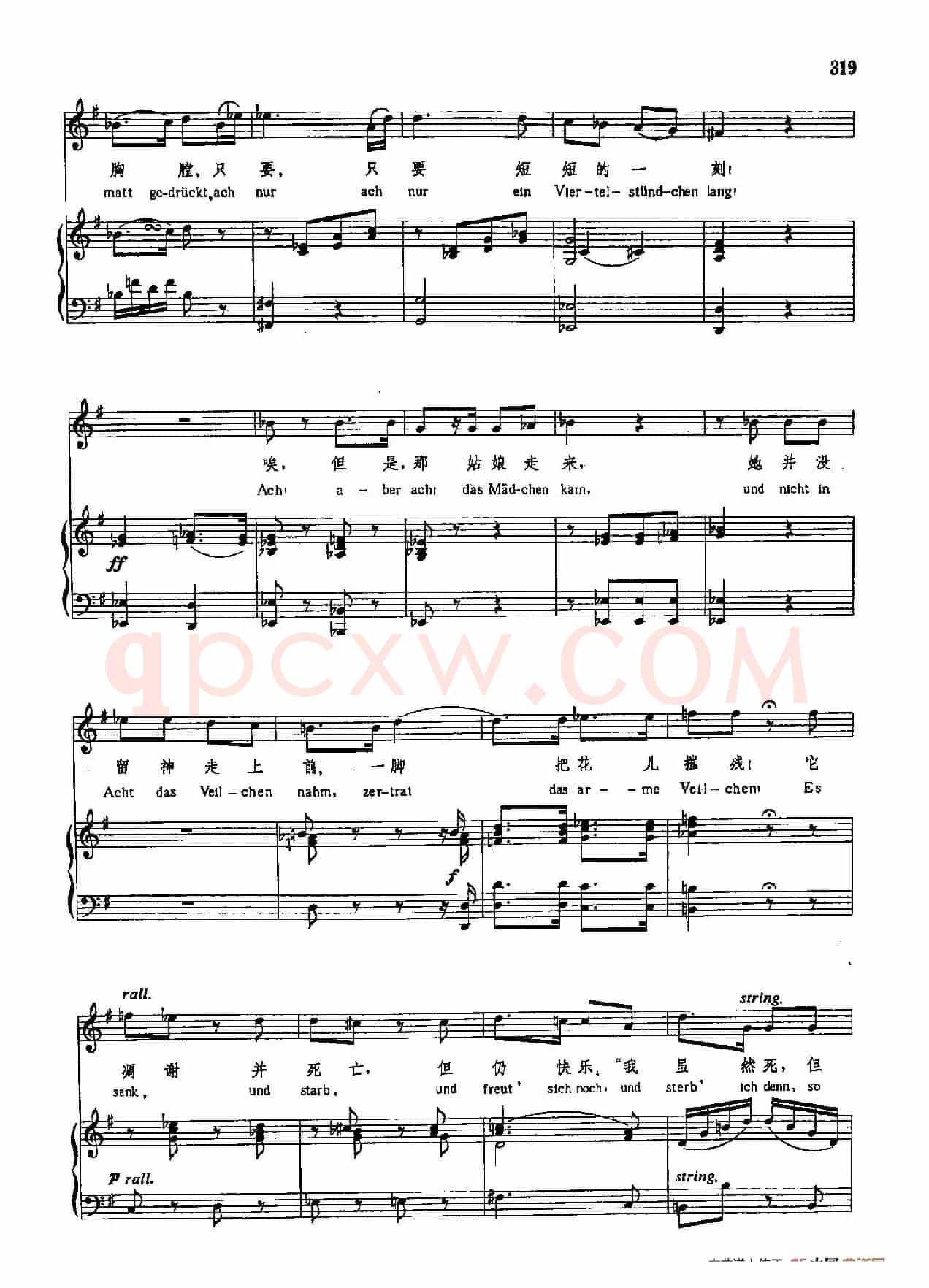 声乐教学曲库3-[奥]66紫罗兰（正谱） 