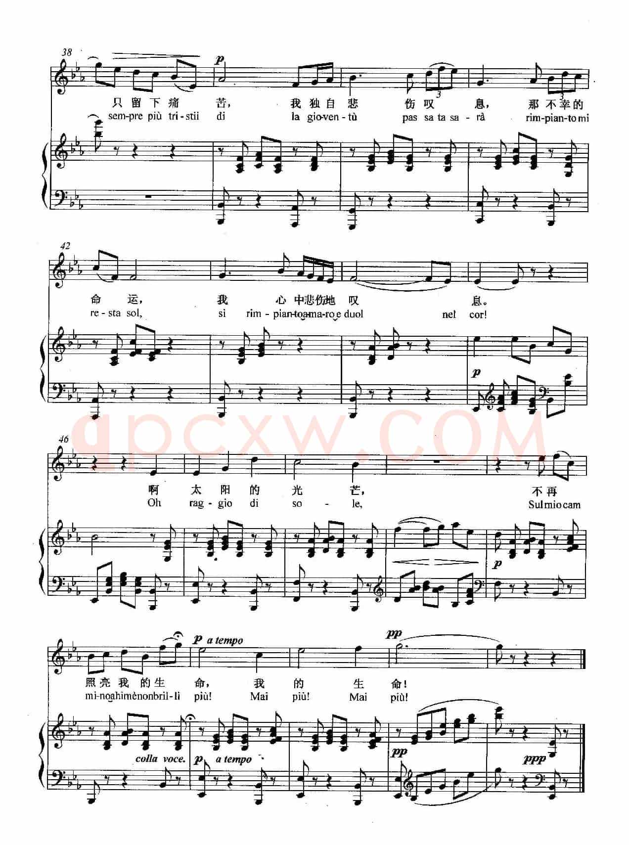 [意]悲叹的小夜曲（正谱）