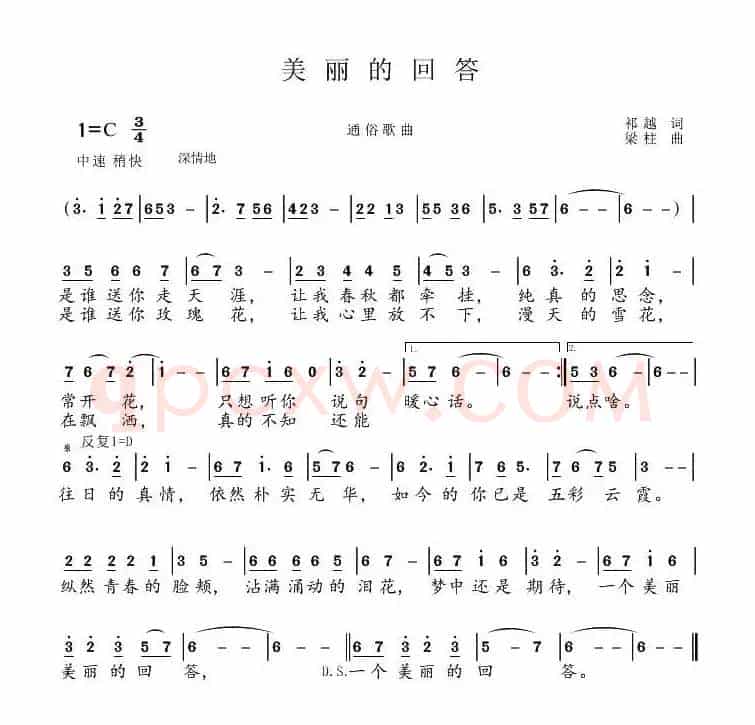 美丽的回答