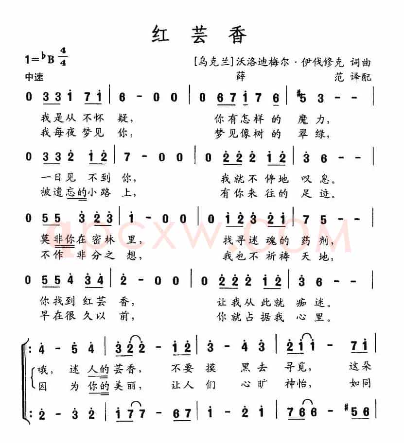 [乌克兰] 红芸香
