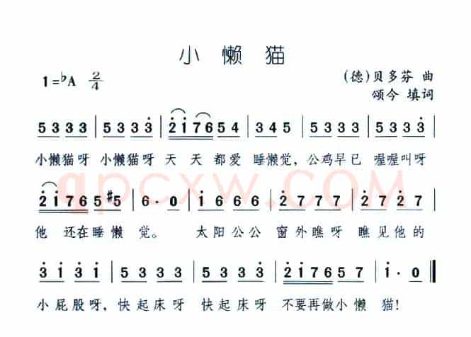 小懒猫