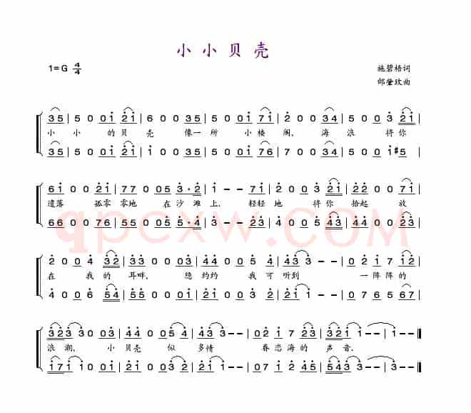 小小贝壳