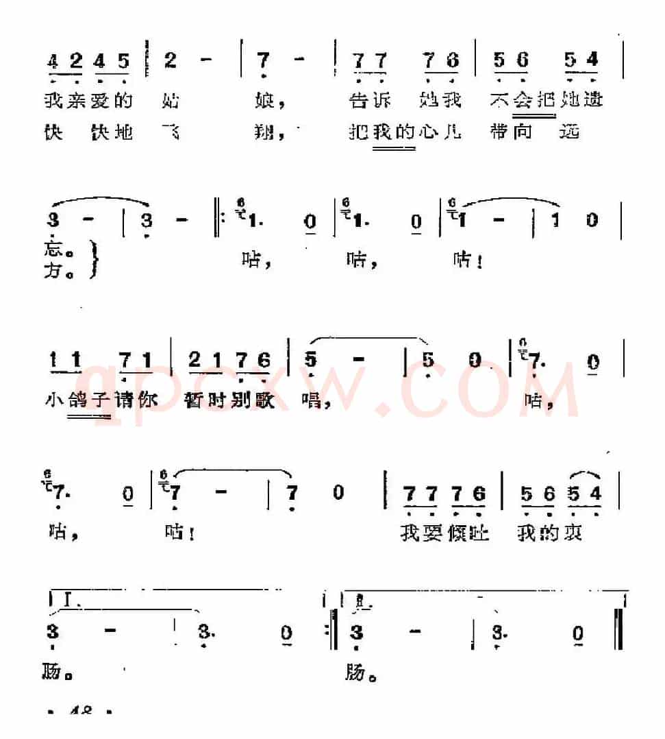 [墨西哥]小信鸽