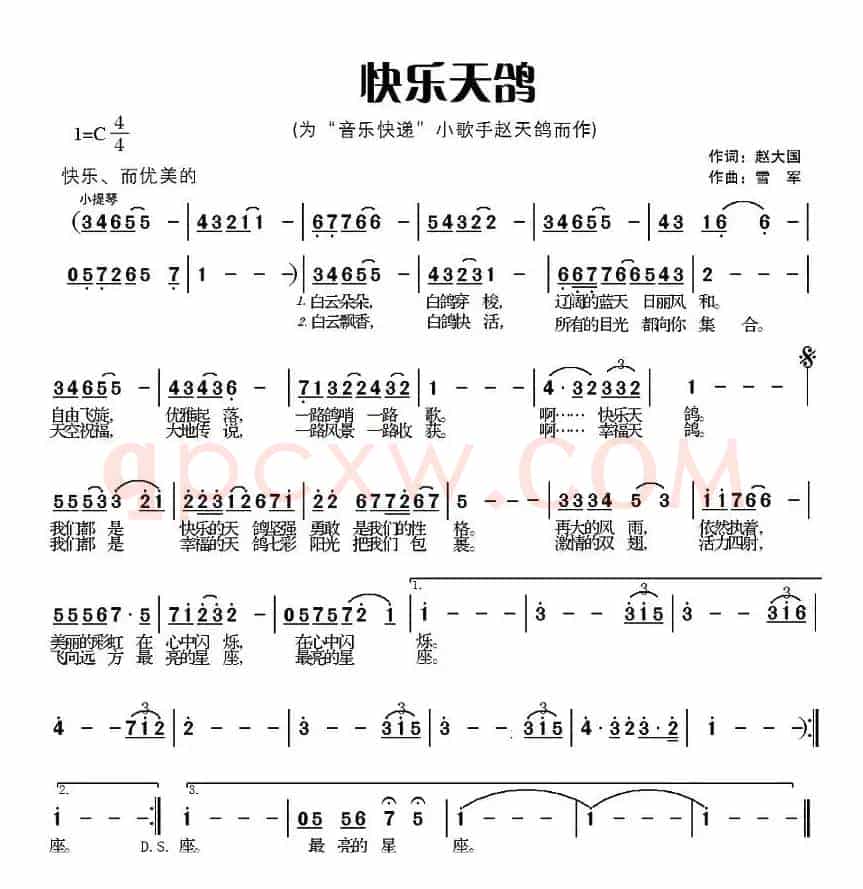 快乐天鸽
