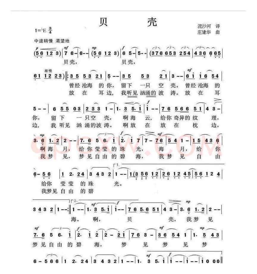 贝壳