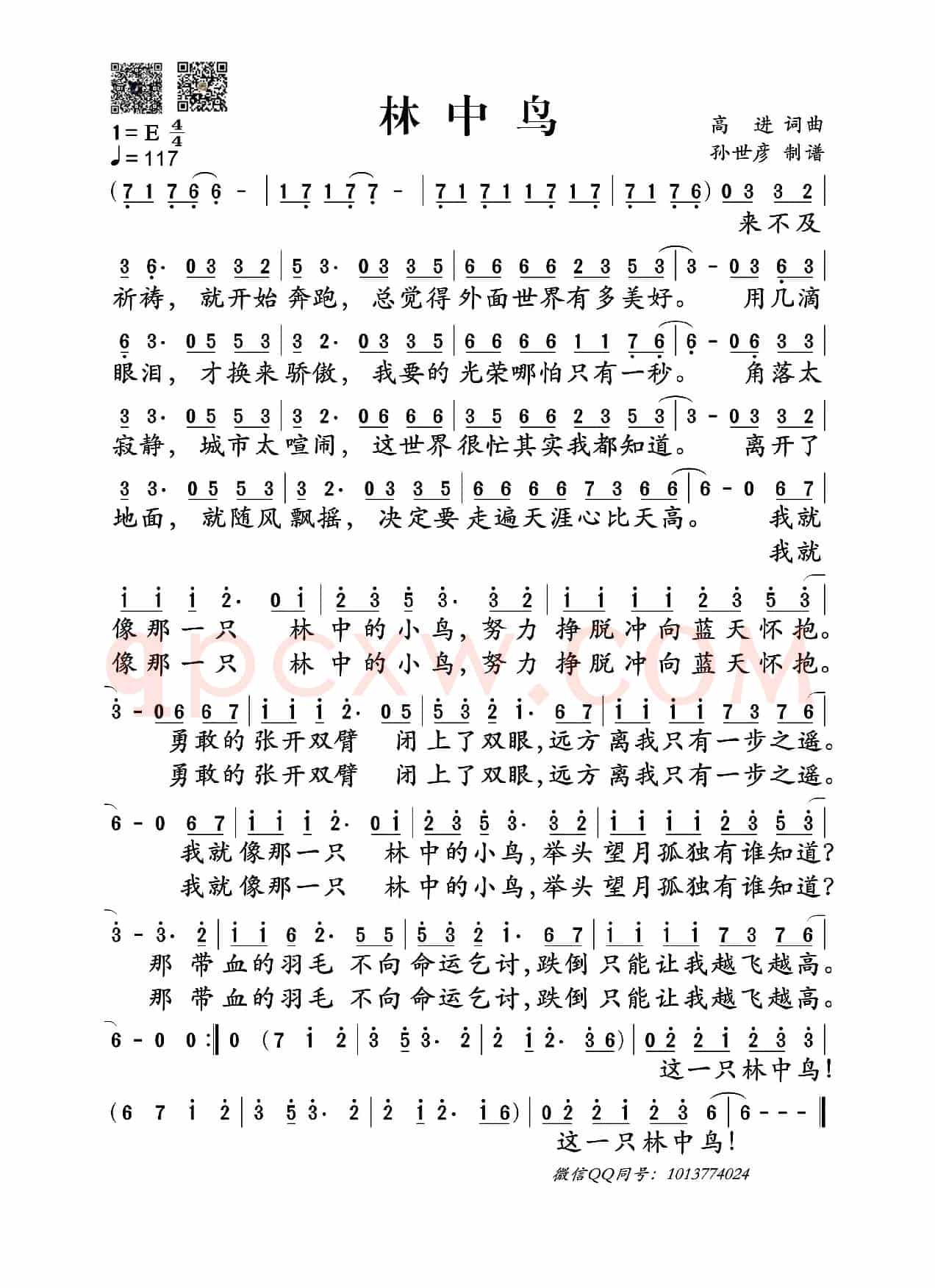 林中鸟